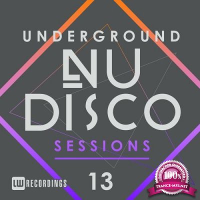 Underground Nu-Disco Sessions Vol 13 (2017)