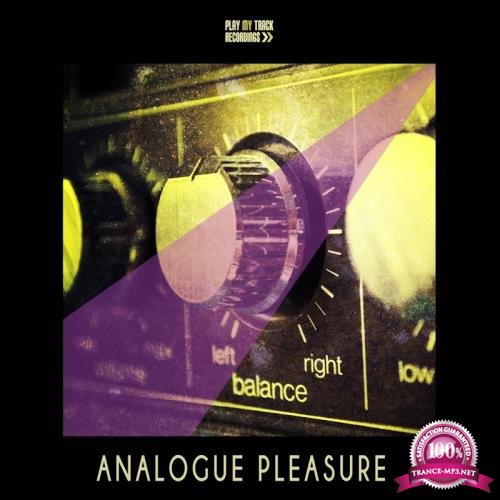 Analogue Pleasure (2017)