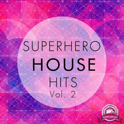 Superhero House Hits, Vol. 2 (2017)