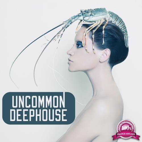 Uncommon Deephouse (2017)