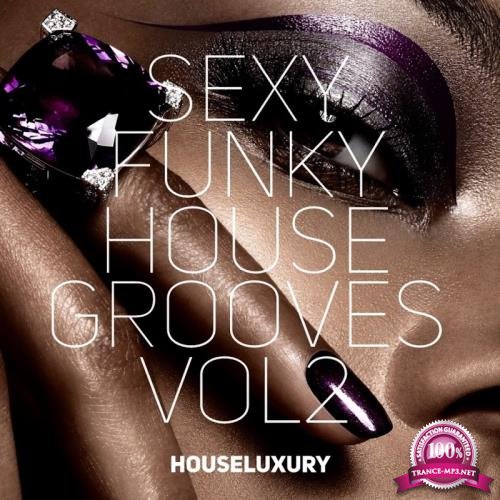 Sexy Funky House Grooves Vol. 2 (2017)