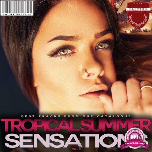 Tropical Summer Sensations, Vol. 3 (2017)