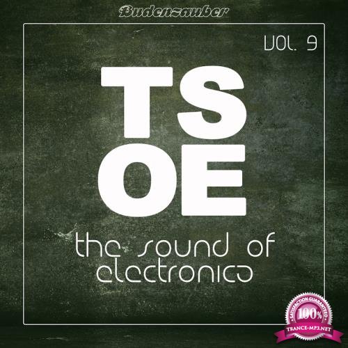 TSOE (The Sound of Electronica), Vol. 9 (2017)