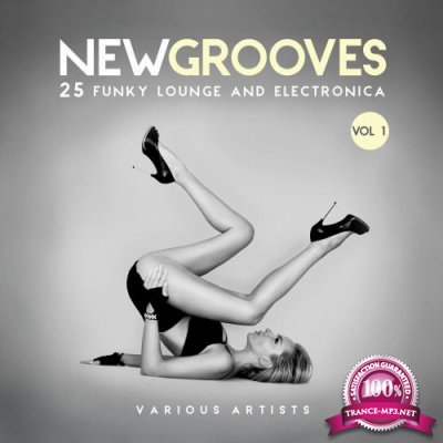 New Grooves, Vol. 1 (25 Funky Lounge & Electronica) (2017)