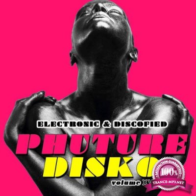 Phuture Disko, Vol. 18-Electronic and Discofied (2017)