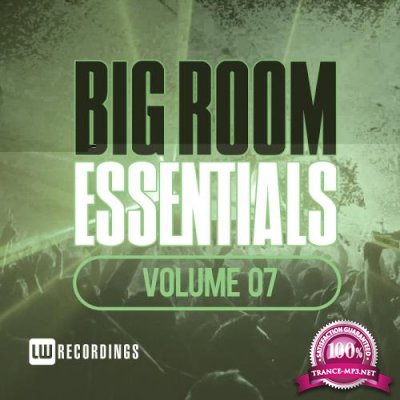 Big Room Essentials, Vol. 07 (2017)