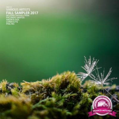 Fall Sampler 2017 (2017)