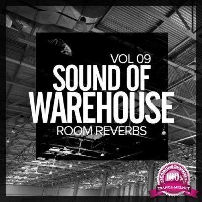 Sound Of Warehouse, Vol.9: Room Reverbs (2017)