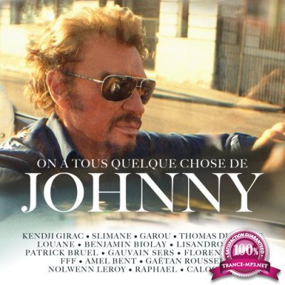 On A Tous Quelque Chose De Johnny (2017)