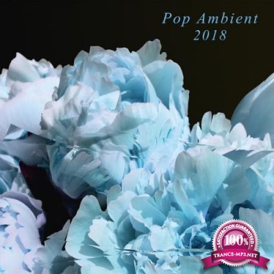 Pop Ambient 2018 (2017)
