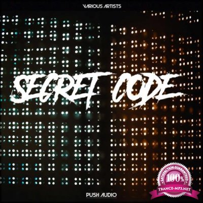 Secret Code (2017)