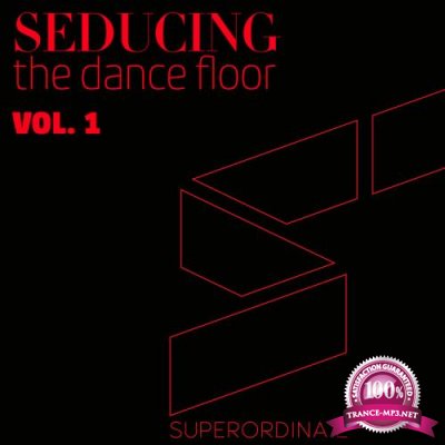 Seducing the Dancefloor Vol 1 (2017)