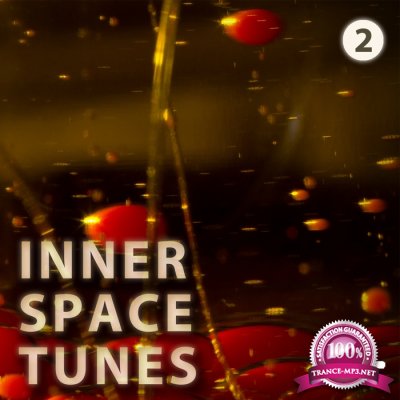 Inner Space Tunes 2 (2017)