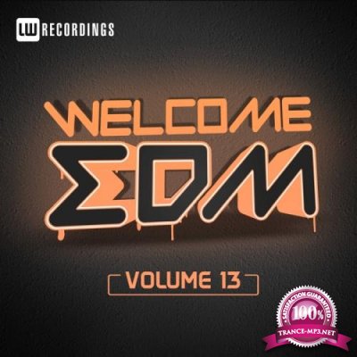 Welcome Edm, Vol. 13 (2017)