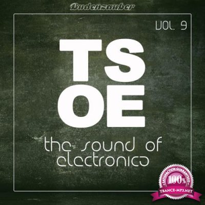 TSOE (The Sound of Electronica), Vol. 9 (2017)