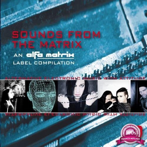 Sounds from the Matrix 019 (2017)