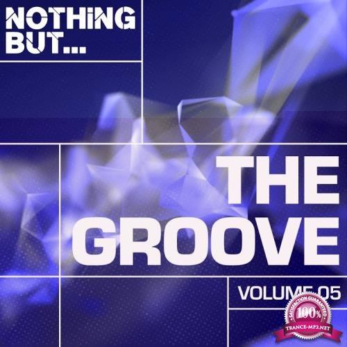 Nothing But... The Groove, Vol. 05 (2017)