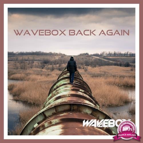 Wavebox Back Again (2017)