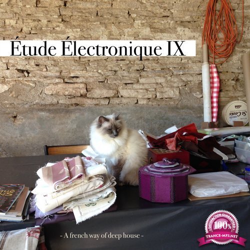 Etude Electronique IX - A French Way of Deep House (2017)