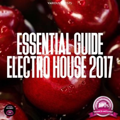 Essential Guide Electro House 2017 (2017)