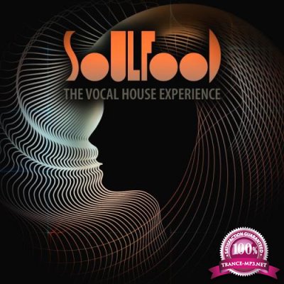 Soulfood: the Vocal House Experience (2017)