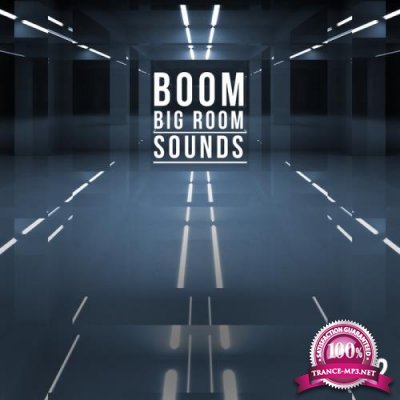 Boom, Vol. 2 - Big Room Sounds (2017)