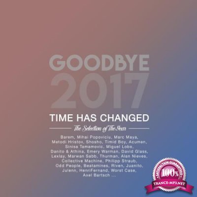 Goodbye 2017 the Best of the Year (2017)