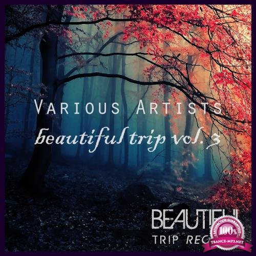 Beautiful Trip, Vol. 3 (2018)