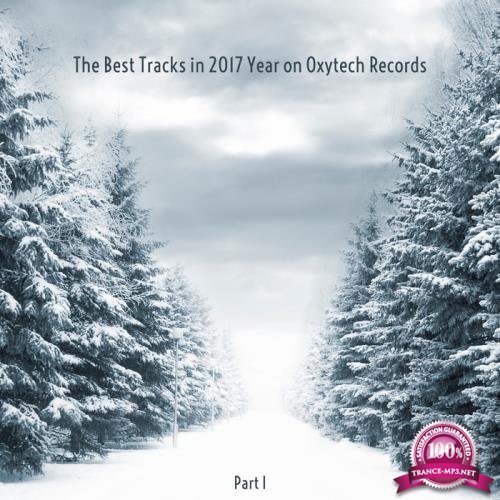 The Best Tracks In 2017 Year On Oxytech Records Part I (2018)