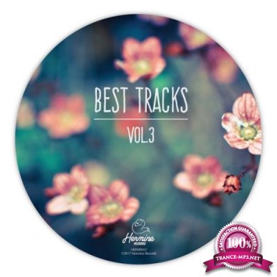 Best Tracks, Vol. 3 (2018) FLAC