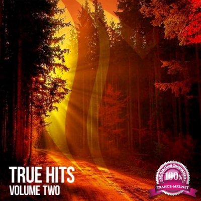 Suanda True - True Hits Vol 2 (2018)