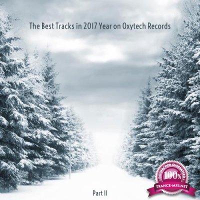 The Best Tracks in 2017 Year on Oxytech Records. Part II (2018)
