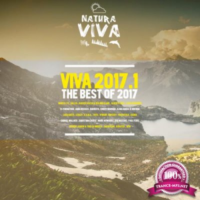 Viva 2017.1 (2018)