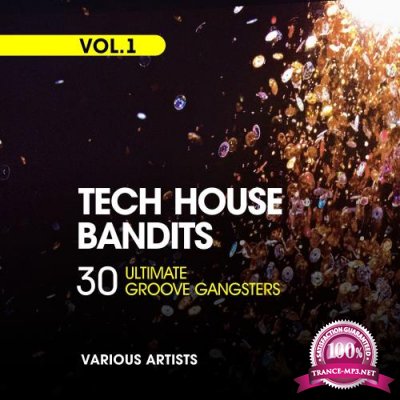Tech House Bandits, Vol. 1 (30 Ultimate Groove Gangsters) (2018)