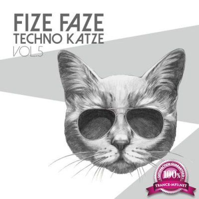 Fize Faze Techno Katze, Vol. 5 (2018)