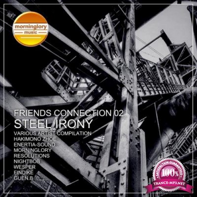 Friends Connection, Vol. 2 Steel Irony (2018)