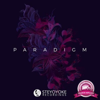 Steyoyoke Paradigm, Vol. 02 (2018)