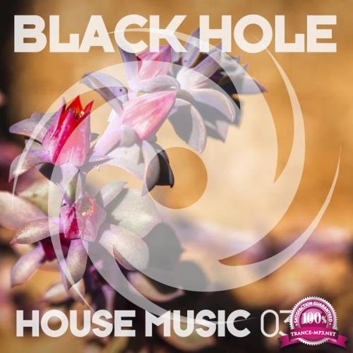 Black Hole House Music 03-18 (2017)