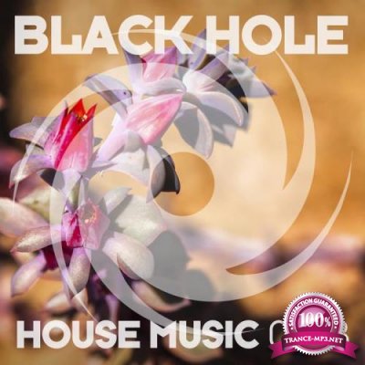 Black Hole House Music 03-18 (2017)