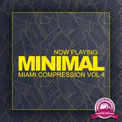 Now Playing, Vol. 4 Minimal Miami Compression (2018)