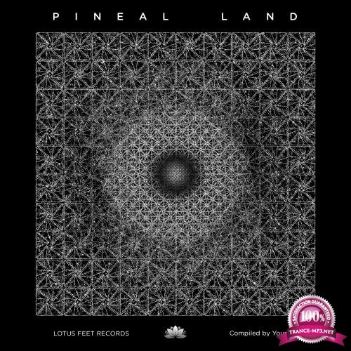 Pineal Land (2018)