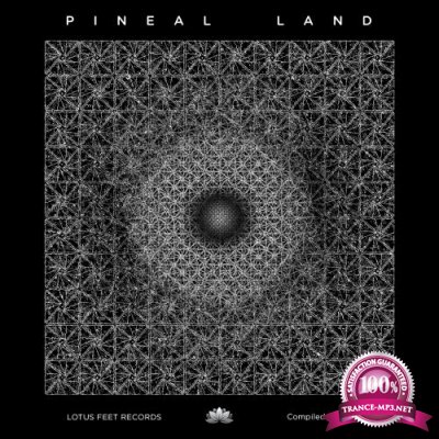 Pineal Land (2018)