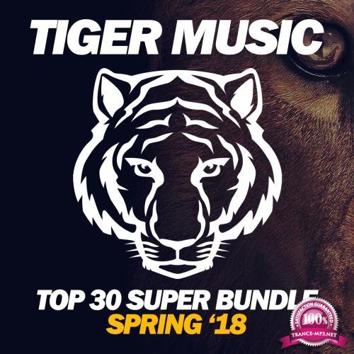 Top 30 Super Bundle (Spring '18) (2018)