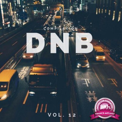 DnB Music Compilation, Vol. 12 (2018)