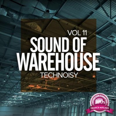 Sound Of Warehouse, Vol.11: Technoisy (2018)
