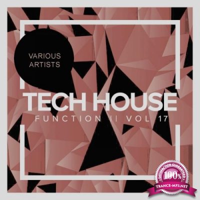 Tech House Function, Vol. 17 (2018)