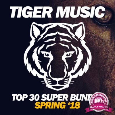 Top 30 Super Bundle (Spring '18) (2018)