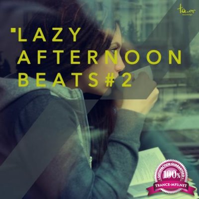 Lazy Afternoon Beats, Vol. 2 (2018)