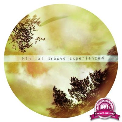 Minimal Groove Experince 4 (2018)