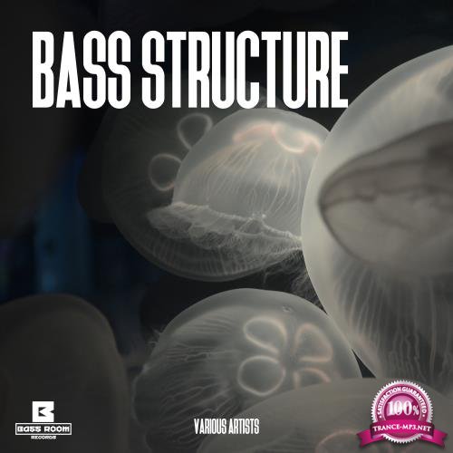 Bass Structure (2018)